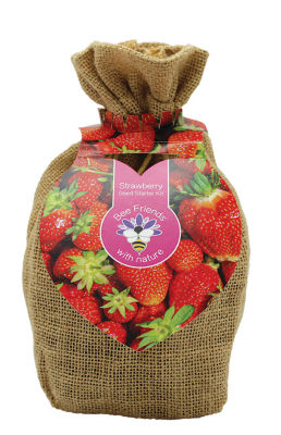 ASDA Strawberry Jute Bag Starter Set
