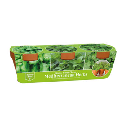 ASDA Herb Set in Terracotta Pots
