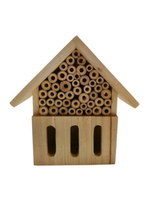ASDA Insect House