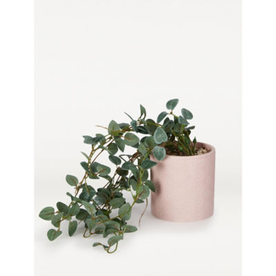 George Home Trailing Plant in Ceramic Pink Pot