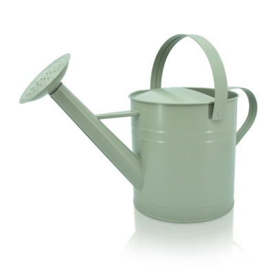 ASDA Watering Can 4.2L