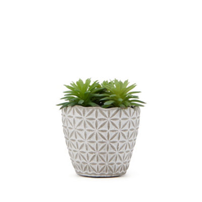 George Home Faux Succulent