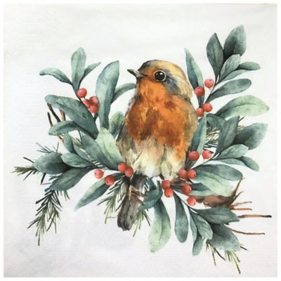 George Home Home Compostable Robin Napkins