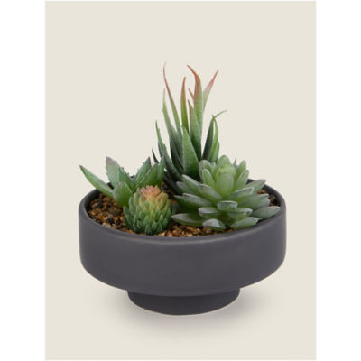 George Home Artificial Succulents in Black Bowl