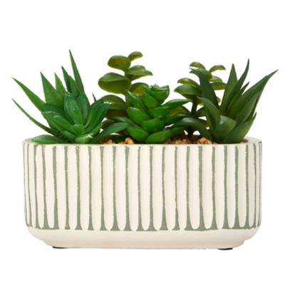George Home Striped Trough Faux Succulent