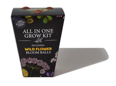 Seedcell Bloom Ball - Wildflower Seeds