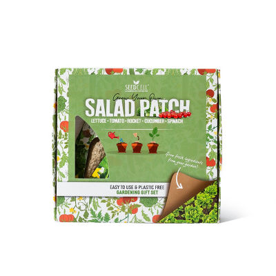 Seedcell Selection Box - Salad Patch Seeds