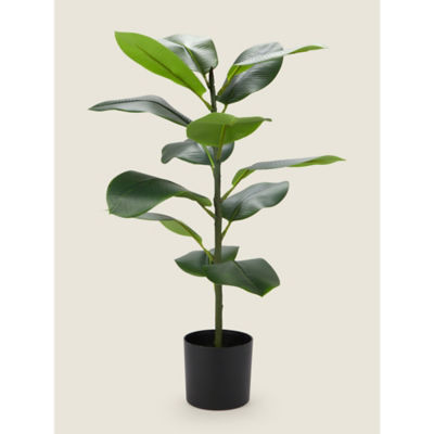 George Home 70cm Rubber Tree