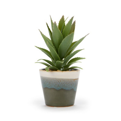 George Home Reactive Glazed Succulent in Pot