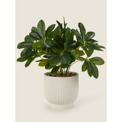 George Home Artificial Umbrella Plant In White Ribbed Pot