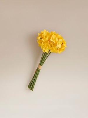 George Home Artificial Daffodils