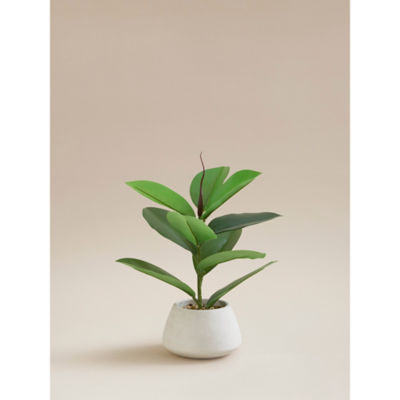 George Home Grey Artificial Rubber Plant In Cement Pot 50Cm