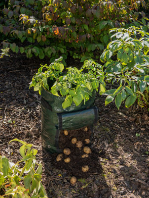 ASDA Potato Grow Bag 50L 45x32cm