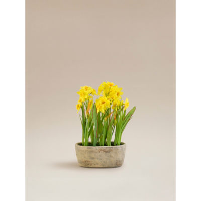 George Home Grey Artificial Daffodils In Cement Trough