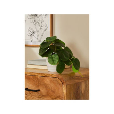 George Home Green Pilea Plant