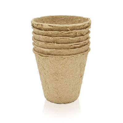 ASDA Fibre Seeding Pots 12 Pack 8x8cm