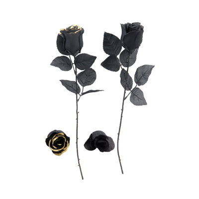 ASDA Halloween Witch Rose