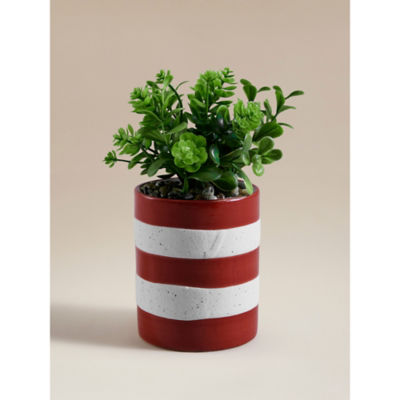 George Home Mixed Succulent Pot
