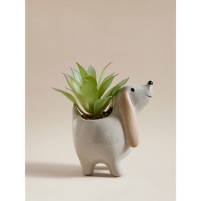 George Home Cream Dog Succulent Plant