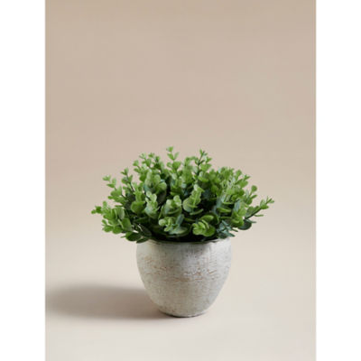 ASDA Green Artificial Eucalyptus In Cement Pot