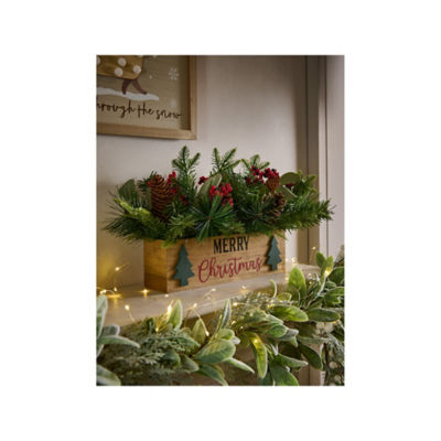 ASDA GH WOODEN BOX PLANT