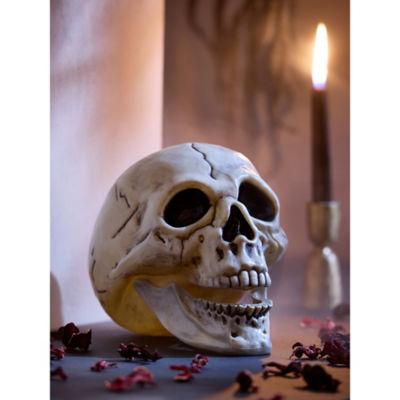 ASDA Halloween Skull Head Decoration