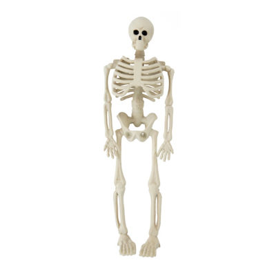 ASDA Halloween Mini Skeleton Decoration