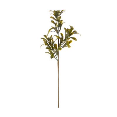 ASDA Mistletoe Green Leaves Stem