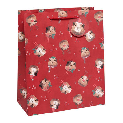 ASDA Guinea Pig Large Portrait Bag