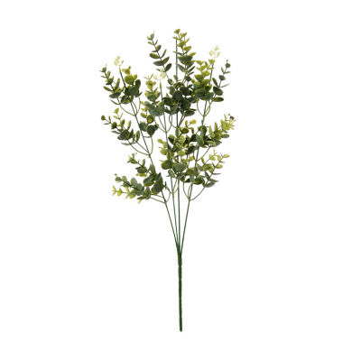 ASDA GH EUCALYPTUS STEM