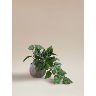 ASDA Green Artificial Trailing Leaf In Ceramic Pot