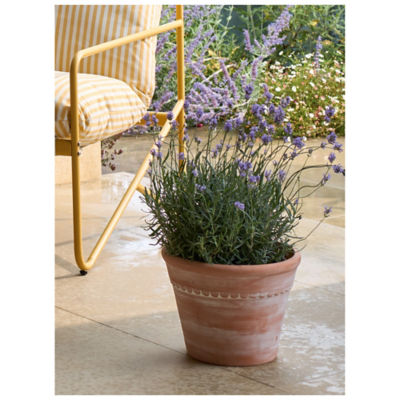 ASDA Terracotta Large Ceramic Planter