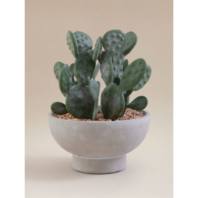 ASDA Artificial Cactus In Grey Cement Bowl