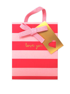 George Home Small Premium Gift Bag
