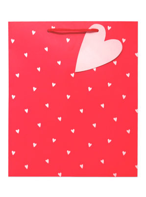 George Home Large Hearts Gift Bag