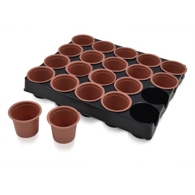 ASDA Starter Pots With Tray