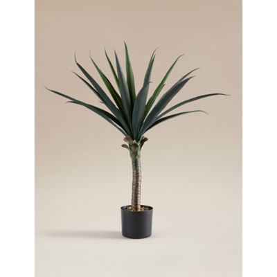 ASDA Topiary Yucca Tree
