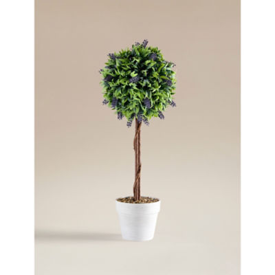 ASDA Topiary Potted Lavender Tree