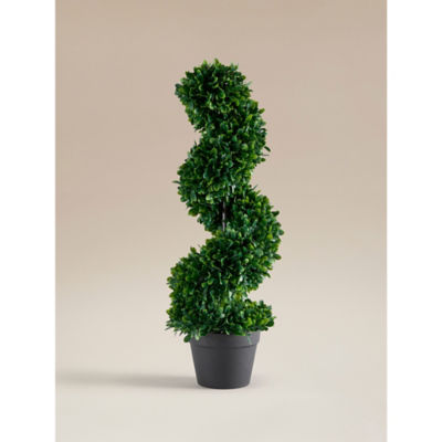 ASDA Topiary Potted Spiral Tree