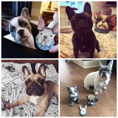 French Bulldogs