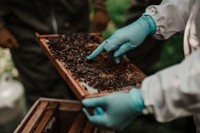 Asda Newport donate sugar to the Isle of Wight Beekeepers Association
