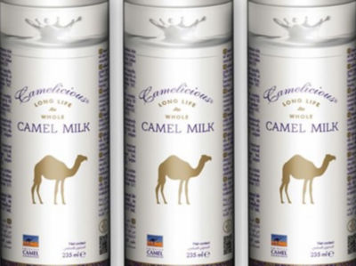 Camel Milk