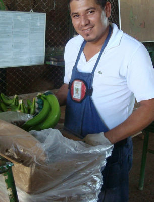 Banana13