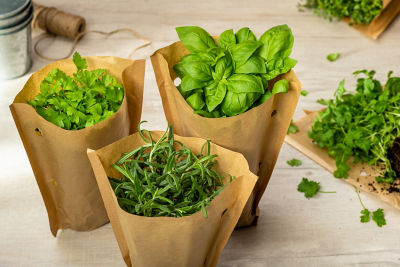 Asda's herbs shown without the plastic pot 