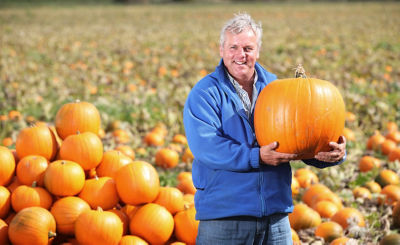 Asda Pumpkin Grower Kevin Curson with this year's bumper crop