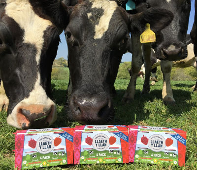 Village Dairy 