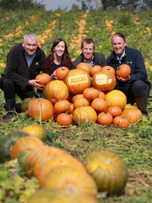 Locally-grown pumpkins from Gilfresh are on sale in Asda stores across Northern Ireland