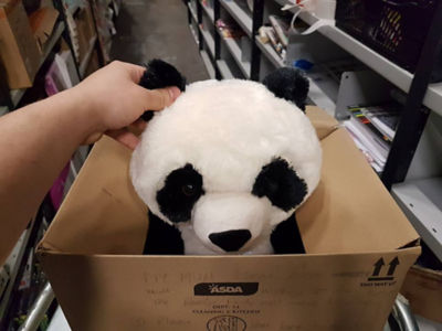 Leon with his panda from Asda Hunts Cross