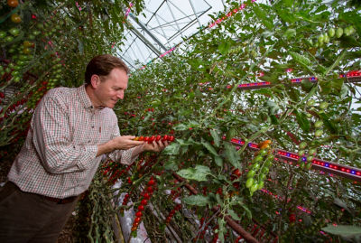 Asda tomato grower Andy Roe