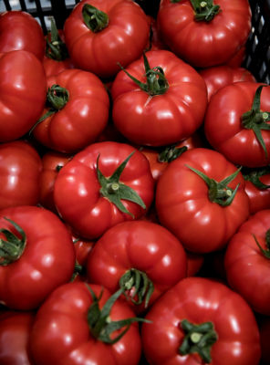 Goutini tomatoes